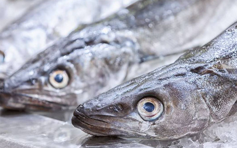 Distribuidor pescado restaurantes Málaga